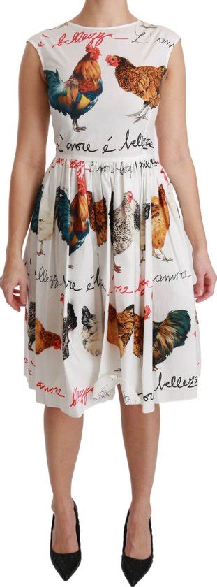 rooster dolce gabbana|Dresses .